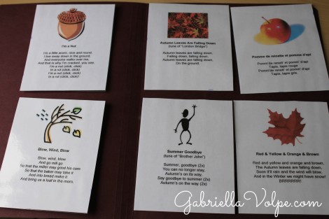 File folder with rhymes and songs cards - literacy for the child with special needs