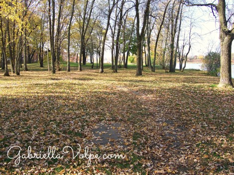 Outdoor Play with the Child with Special Needs - nature park
