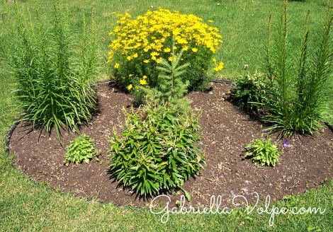 Outdoor Play with the Child with Special Needs - planting a child's garden