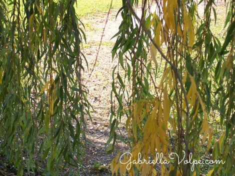 Outdoor Play with the Child with Special Needs - playing with twigs and branches