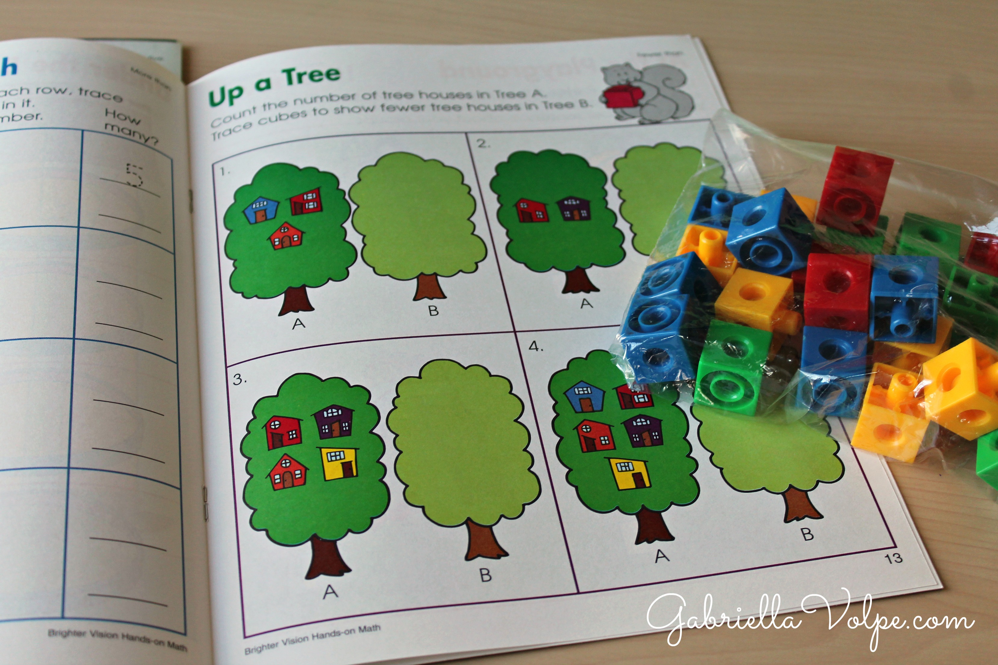 Worksheet alternatives for the child with special needs GABRIELLA VOLPE, B.Ed.