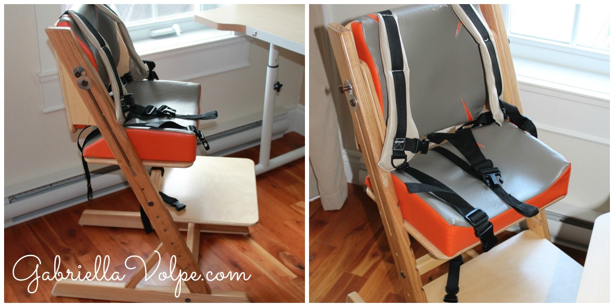 Day 16 Furniture and Equipment for the Child with Special Needs GABRIELLA VOLPE, B.Ed.