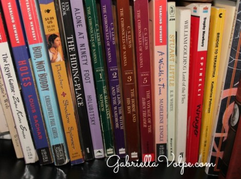 chapter books - Books for the Child with Special Needs