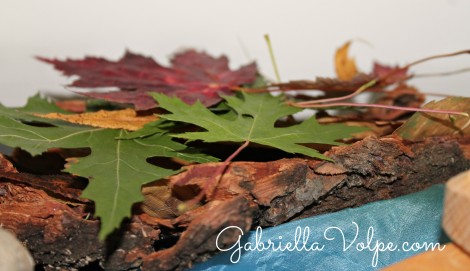 nature table leaves - Science for the child with special needs