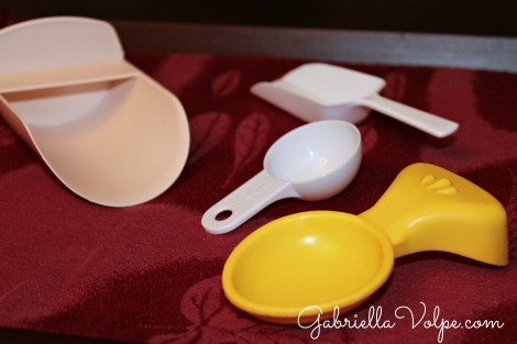 scoopers - in the kitchen with the child with special needs