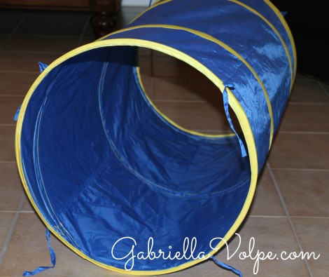tunnel for movement activities for the child with special needs