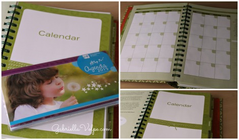 Calendar section of The Caregiver's Notebook by Jolene Philo