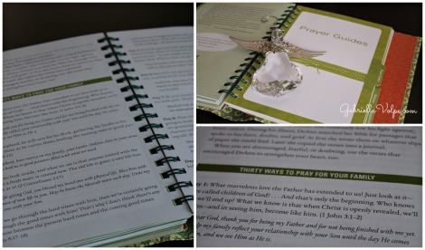 Prayer guide section of The Caregiver's Notebook by Jolene Philo