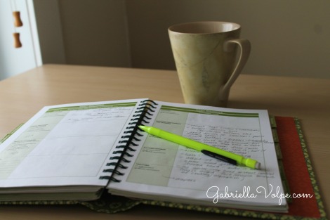 Writing in the Routines and Schedules pages of The Caregiver's Notebook by Jolene Philo