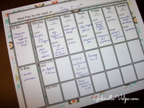 meal planning for a family raising a child with special children menu planner